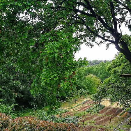 Podere Santa Rita מונטסקודאיו