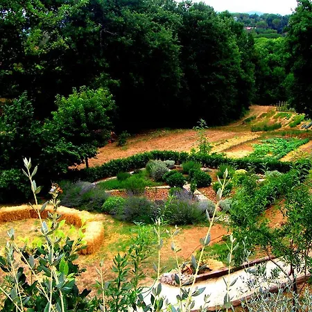 Agriturismo Podere Santa Rita Montescudaio